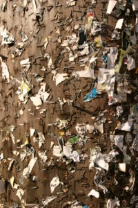 “Perché la didattica ha bisogno delle fenomenologia?” di Pietro Sacchelli